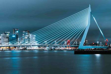 Studia w Rotterdamie - kompleksowy przewodnik