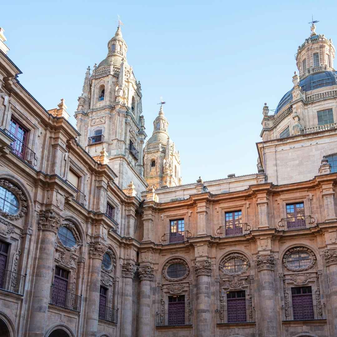 Uniwersytet boloński - centrum edukacji biznesowej