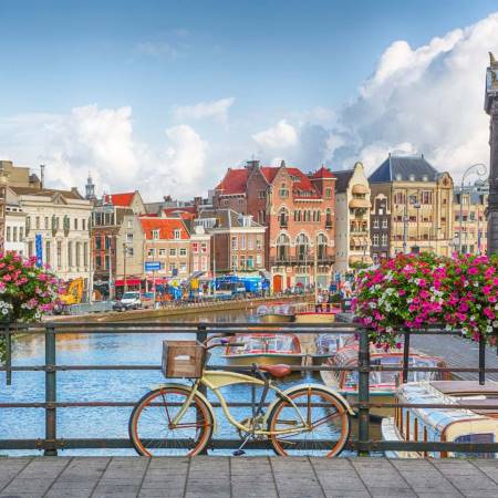 Studia w Amsterdamie